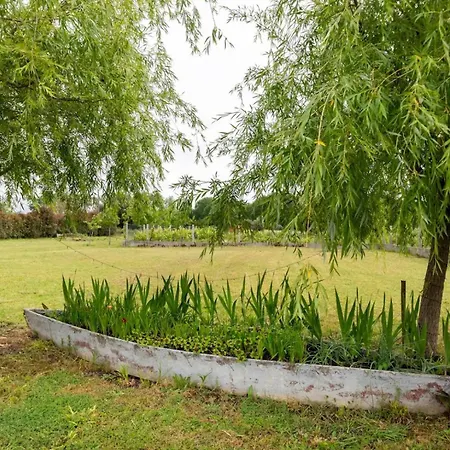 Casa Da Lagoa Pateira *