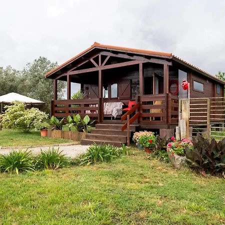 Casa Da Lagoa Pateira Apartment