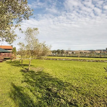 Apartment Casa Da Lagoa Pateira *