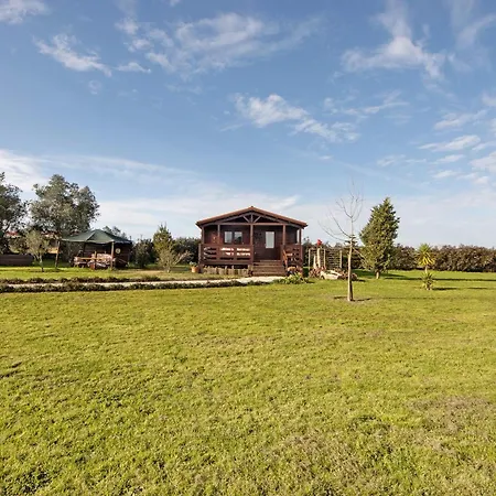 Apartment Casa Da Lagoa Pateira *