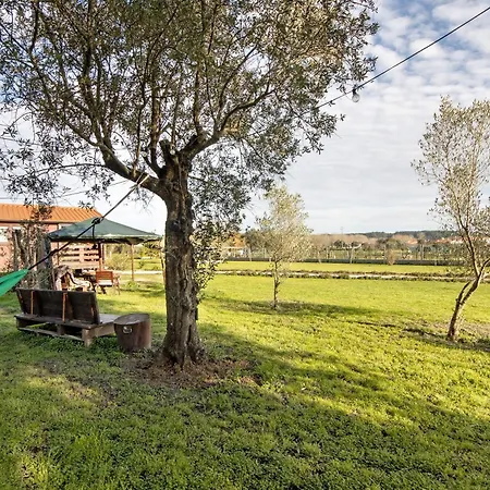 Apartment Casa Da Lagoa Pateira Fermentelos