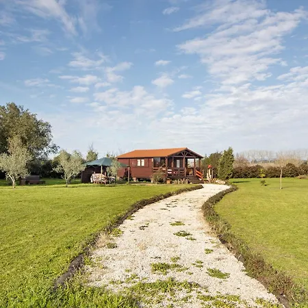 Casa Da Lagoa Pateira Apartment