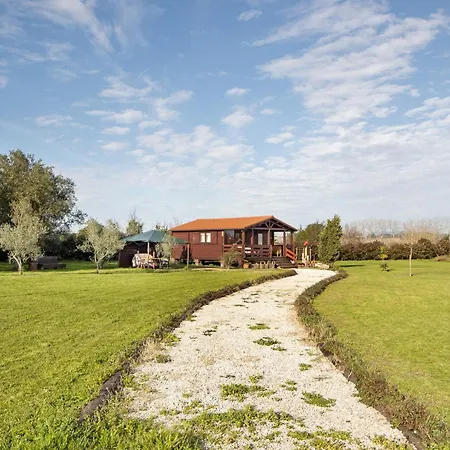 Casa Da Lagoa Pateira Fermentelos